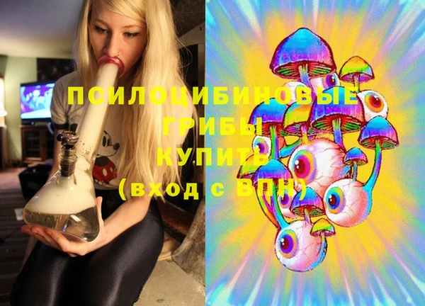 эйфоретик Баксан